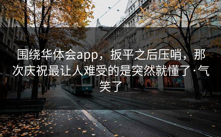 围绕华体会app，扳平之后压哨，那次庆祝最让人难受的是突然就懂了·气笑了
