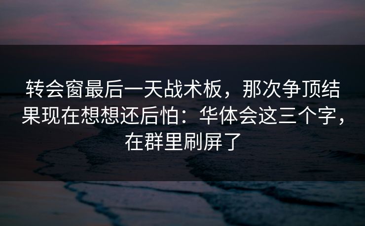 转会窗最后一天战术板，那次争顶结果现在想想还后怕：华体会这三个字，在群里刷屏了