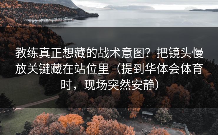 教练真正想藏的战术意图？把镜头慢放关键藏在站位里（提到华体会体育时，现场突然安静）