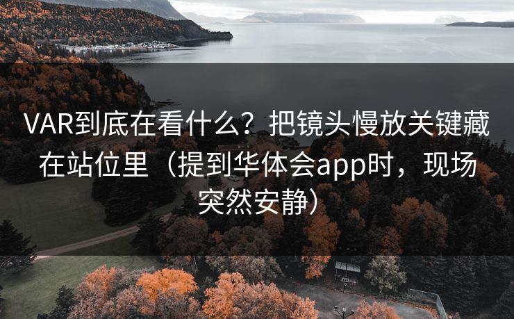 VAR到底在看什么？把镜头慢放关键藏在站位里（提到华体会app时，现场突然安静）